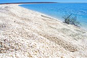 Пляж ракушек Шелл-бич