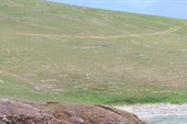 IMG_9748
