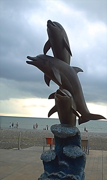 Дельфинчики перед выходом на пляж