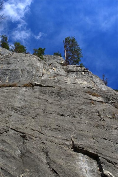 Парус одинокий