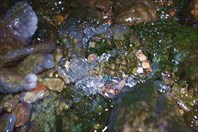 В ледяном гроте. Окрестности Чемала. "Ущелье Дьявола". Автор: Ри