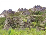 DSC09340