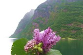 IMG_1731