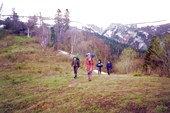 sbroska