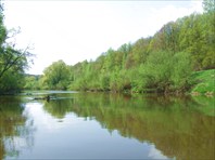 39 лес справа