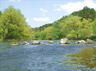 49 вид после прохождения