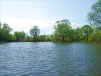 50 на подходе к финишу