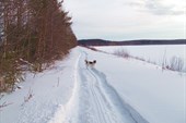 Зимой всё переменилось