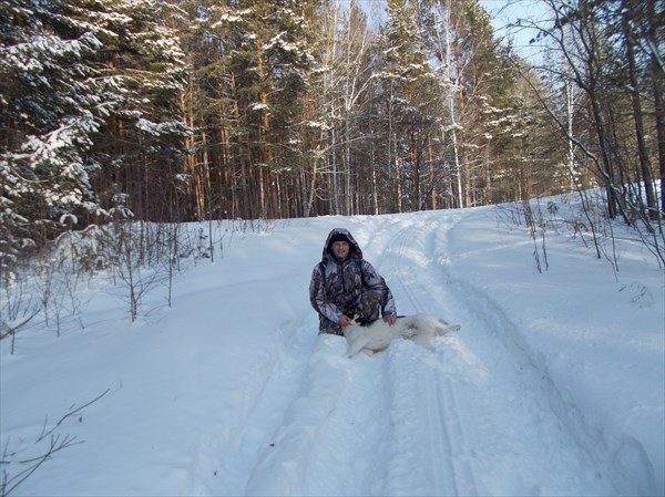 На дороге