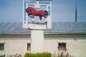 Гаврилово-Посадский конный завод