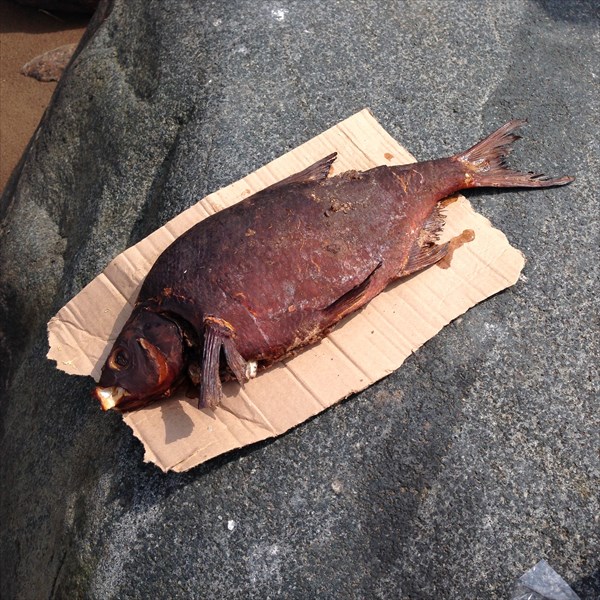 Подарок местных жителей