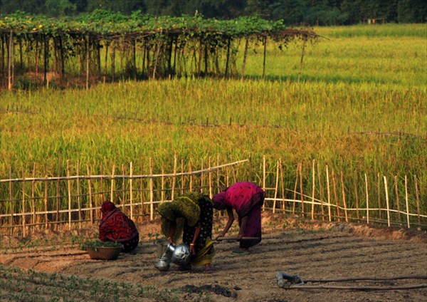 Assam-women