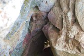 Пещера на Шаманке