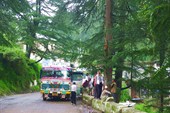 Рейсовый автобус на пути из Шимлы в долину Сатледжа