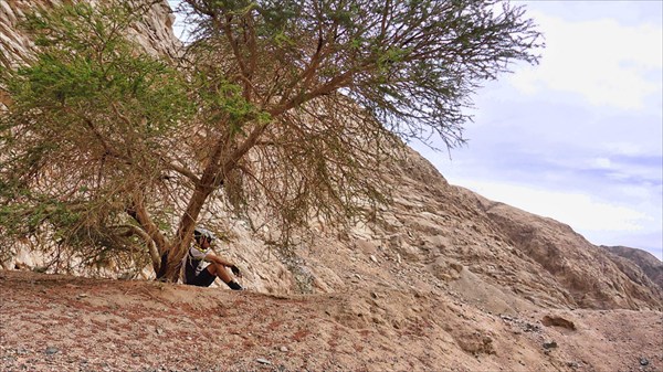 Подъём в гору Синай