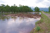 Река Иркут после дождика