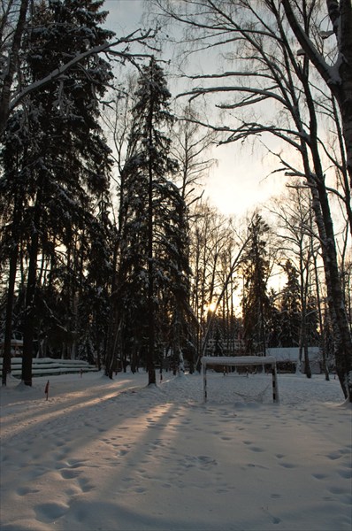 на фото: Берег Истринского водохранилища