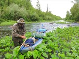 Техническая остановка