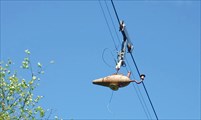 DSCF8895