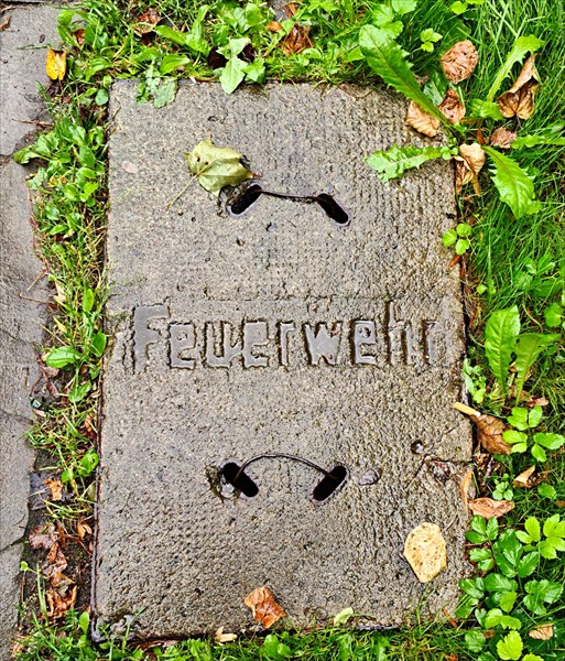 001-Амалиенау