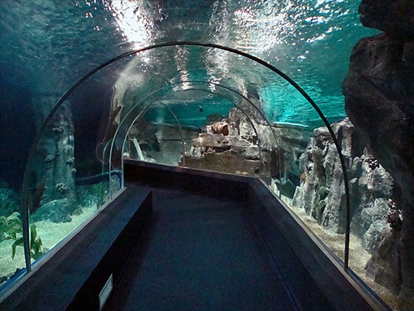 Смотровая площадка