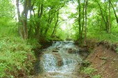 Водопадик в балке у с. Кошары.