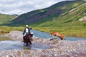 Балыктыг Хем река