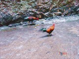DSC01751