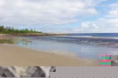 DSC04637