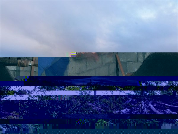 DSC04633