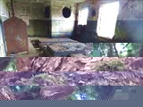DSC04592
