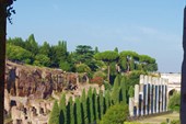 Вид из Колизея на холм Палатин