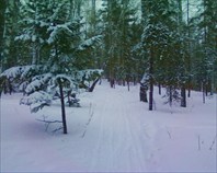 Торгаш