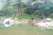PIC_0038