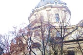 Доминиканский собор (Церковь Св. Евхаристии УГКЦ) (Львов)