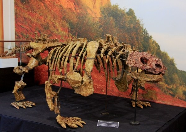 Один из экспонатов