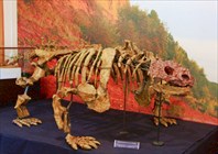 Один из экспонатов-Палеонтологический музей