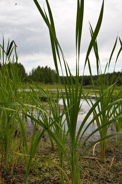 Известковые карьеры под Воскресенском