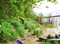 Перекус на кочках