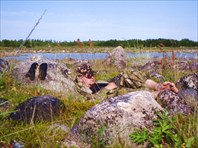 Здоровый детский сон