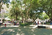 DSC00270