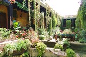 DSC00287