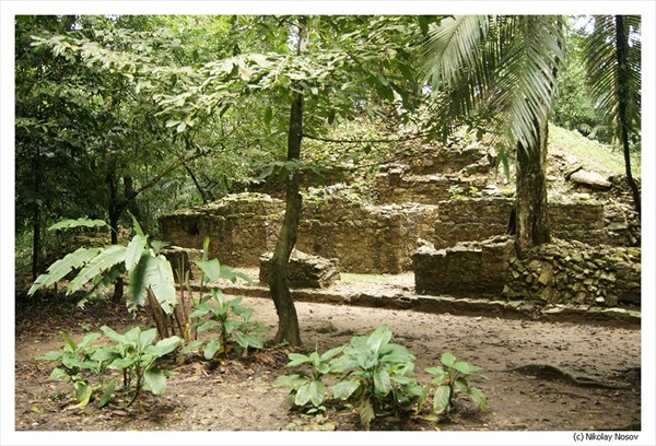 Паленке. Развалины храма майя