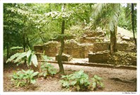 Паленке. Развалины храма майя-Древний город майя Паленке