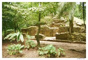 Паленке. Развалины храма майя