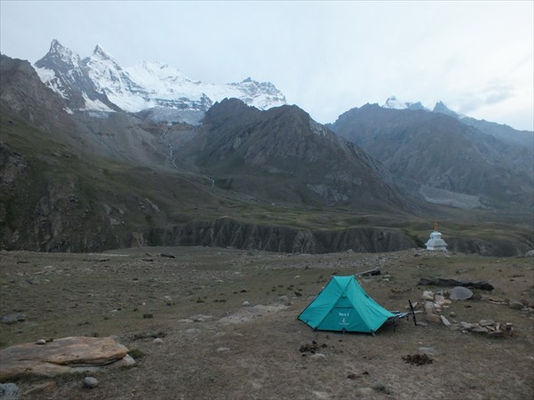 Дорога в Занскар. Поляна заминированная коровами