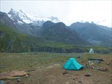 Дорога в Занскар. Поляна заминированная коровами