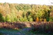 IMG_0115