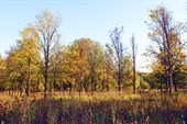 IMG_0120