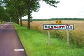 IMGP3675